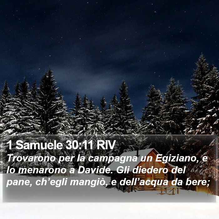 1 Samuele 30:11 RIV Bible Study