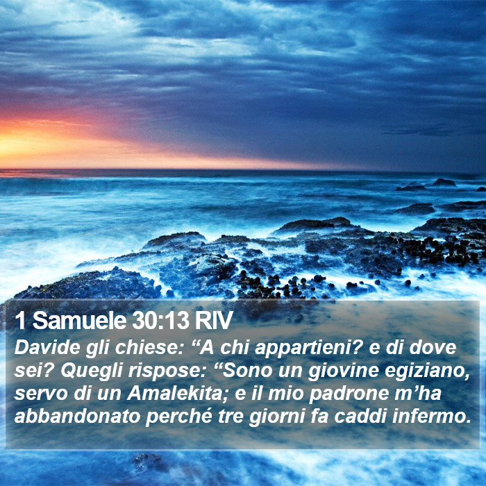 1 Samuele 30:13 RIV Bible Study