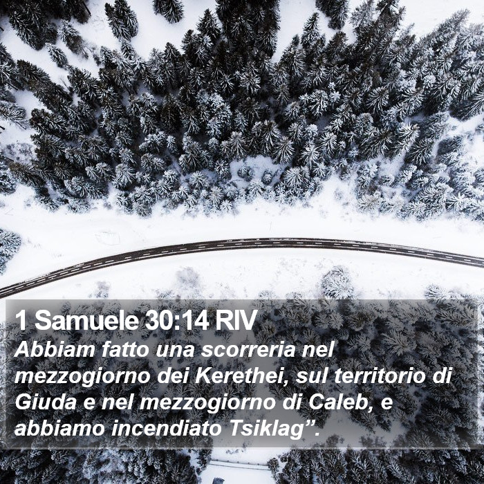 1 Samuele 30:14 RIV Bible Study