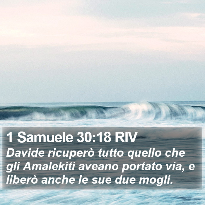 1 Samuele 30:18 RIV Bible Study