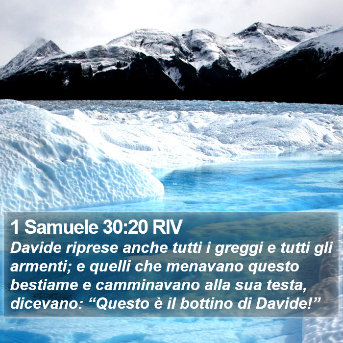 1 Samuele 30:20 RIV Bible Study