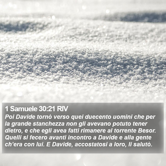 1 Samuele 30:21 RIV Bible Study