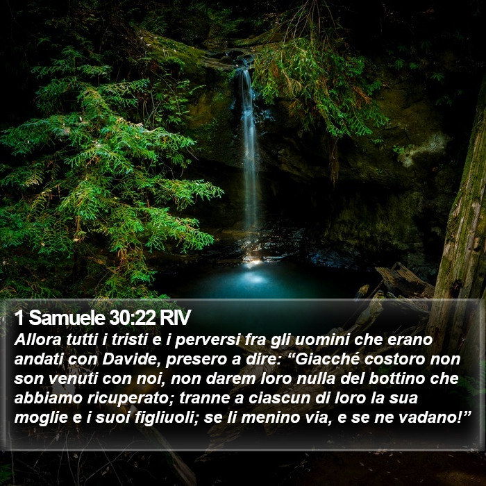 1 Samuele 30:22 RIV Bible Study