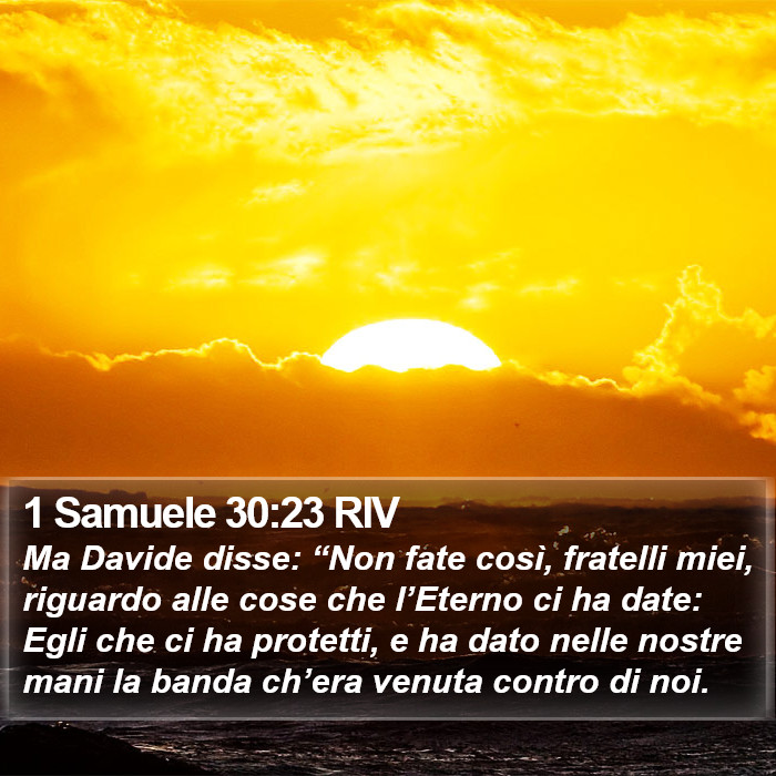 1 Samuele 30:23 RIV Bible Study