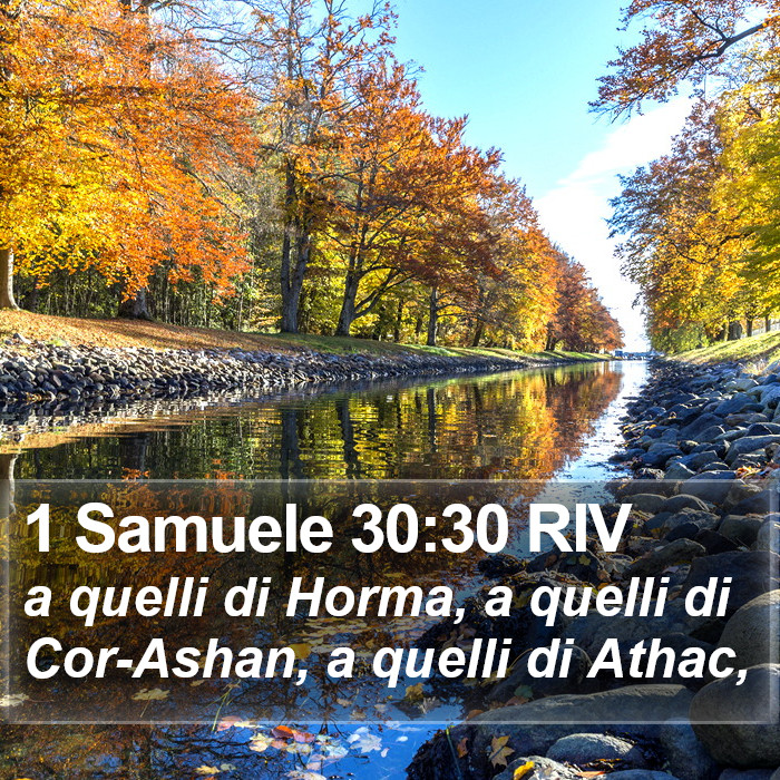 1 Samuele 30:30 RIV Bible Study