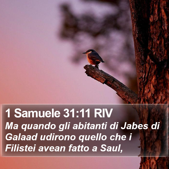 1 Samuele 31:11 RIV Bible Study