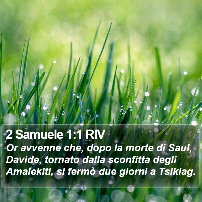 2 Samuele 1:1 RIV Bible Study