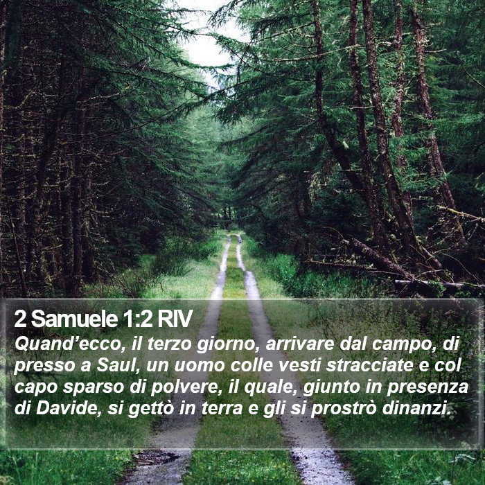 2 Samuele 1:2 RIV Bible Study