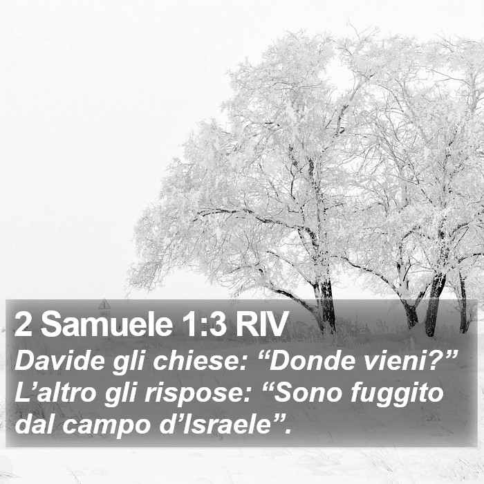 2 Samuele 1:3 RIV Bible Study