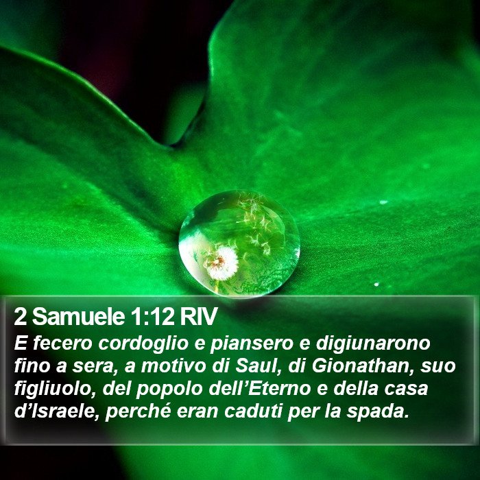 2 Samuele 1:12 RIV Bible Study