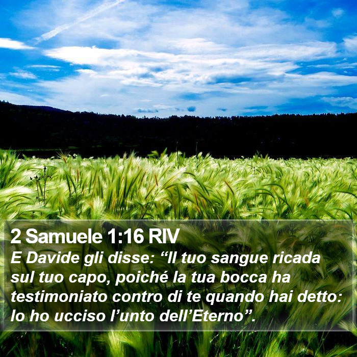 2 Samuele 1:16 RIV Bible Study