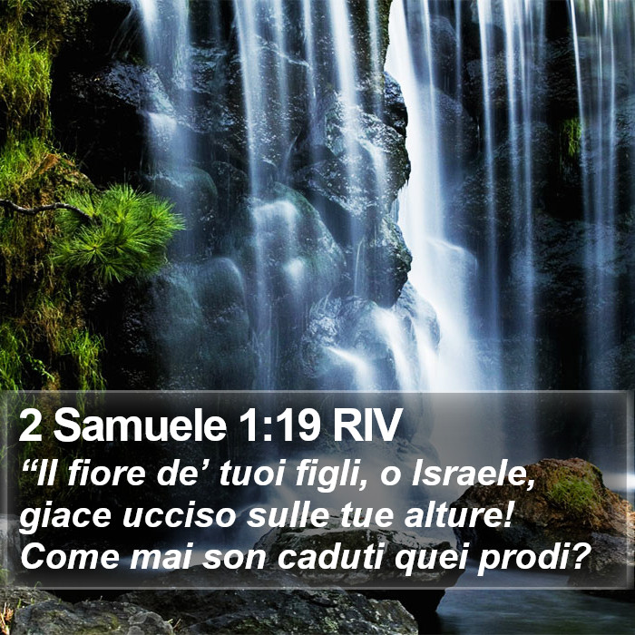 2 Samuele 1:19 RIV Bible Study