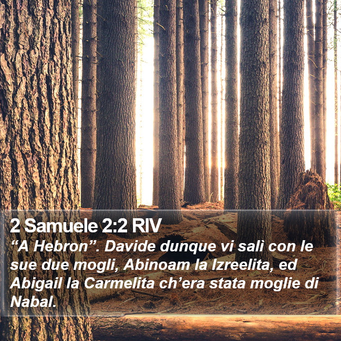 2 Samuele 2:2 RIV Bible Study