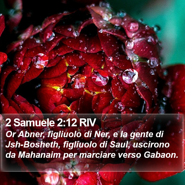 2 Samuele 2:12 RIV Bible Study