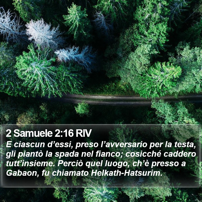 2 Samuele 2:16 RIV Bible Study