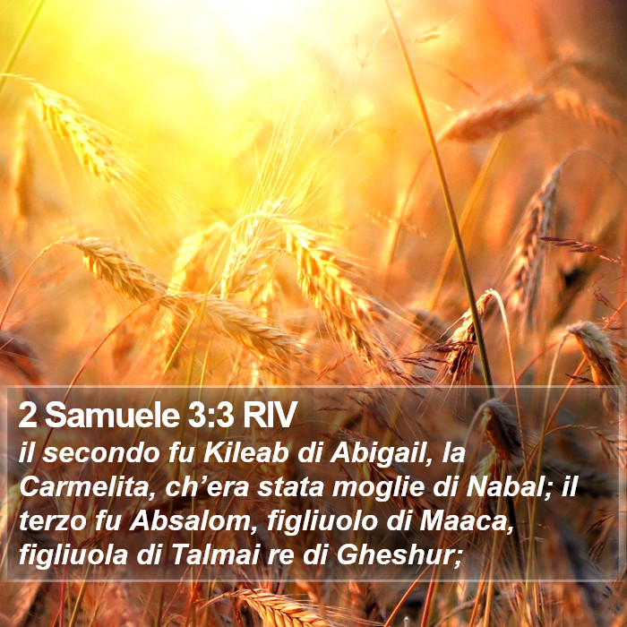 2 Samuele 3:3 RIV Bible Study