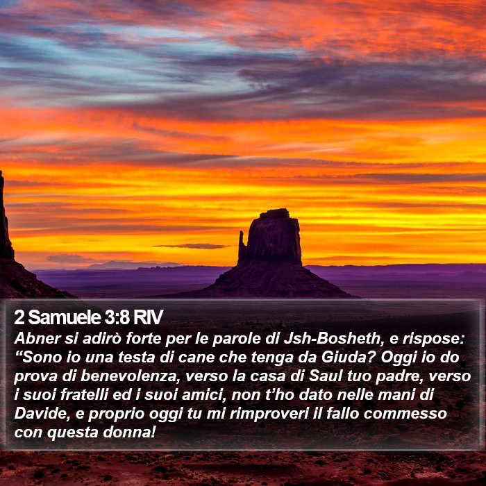 2 Samuele 3:8 RIV Bible Study