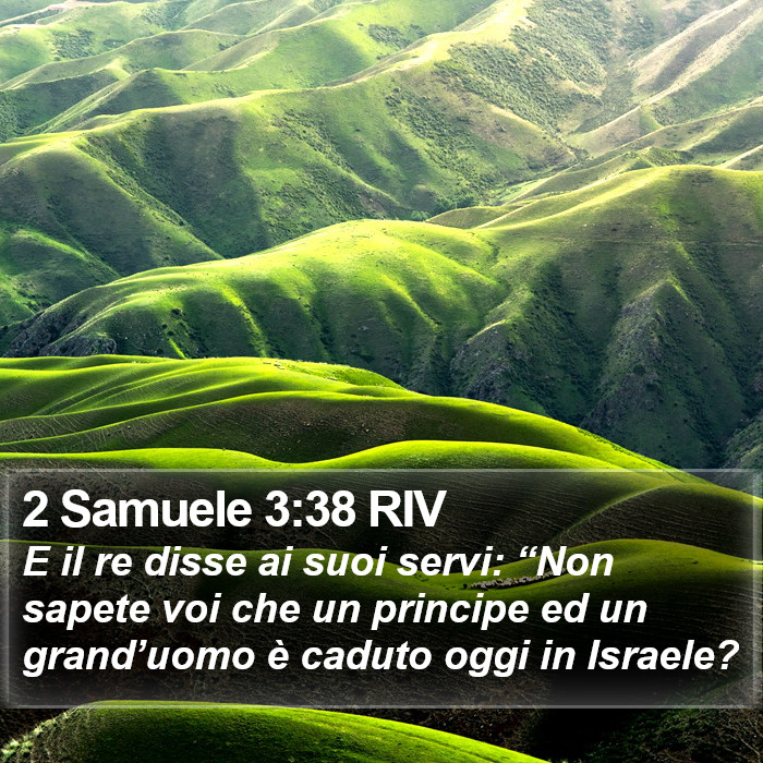 2 Samuele 3:38 RIV Bible Study