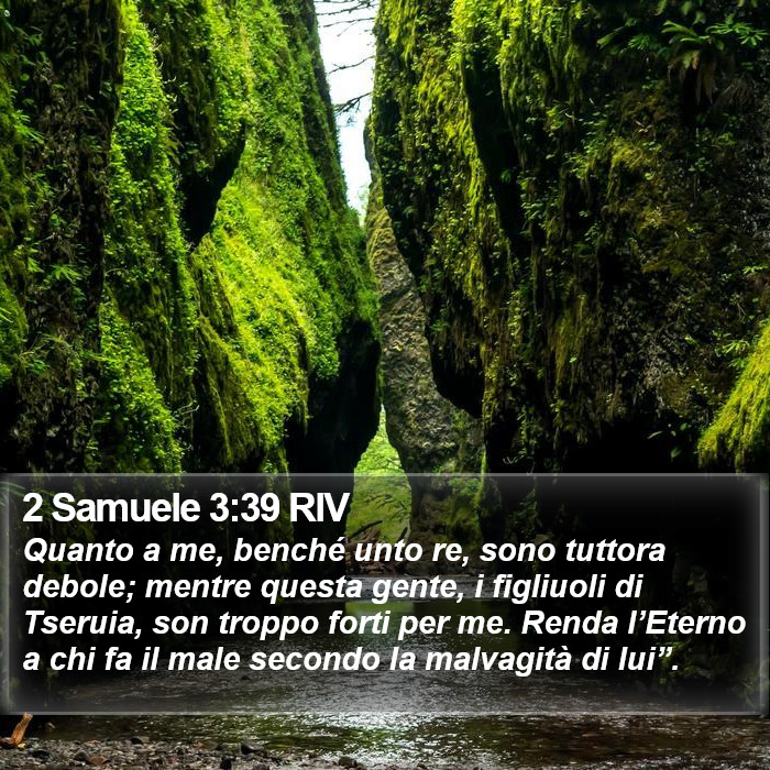 2 Samuele 3:39 RIV Bible Study