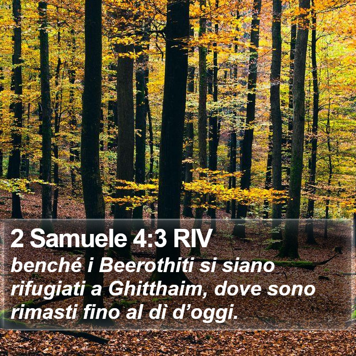 2 Samuele 4:3 RIV Bible Study