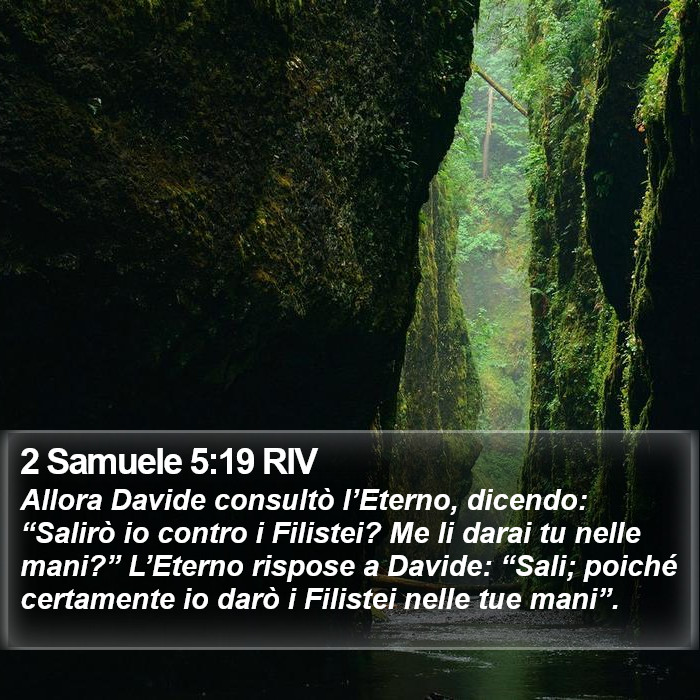 2 Samuele 5:19 RIV Bible Study