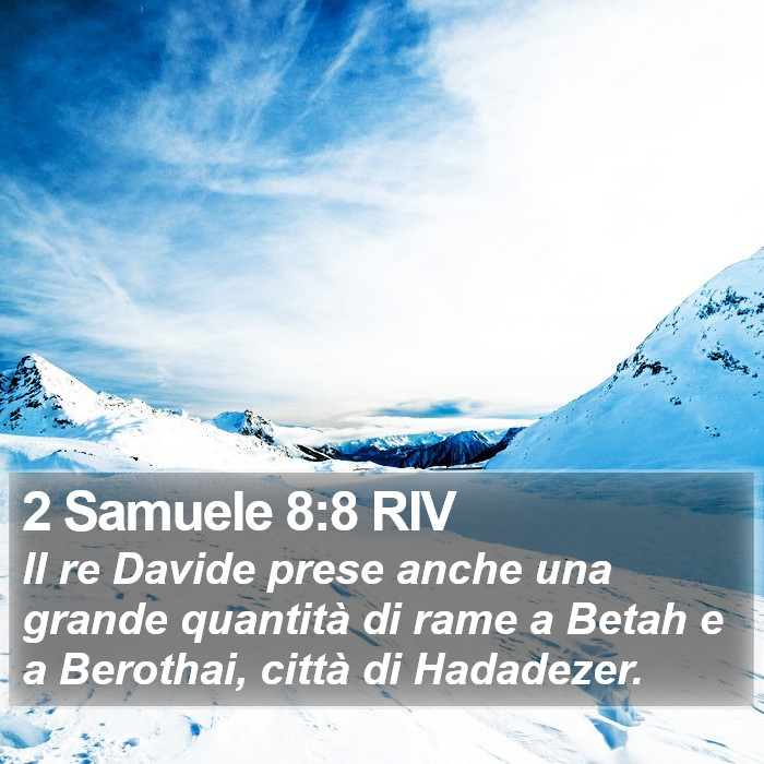 2 Samuele 8:8 RIV Bible Study