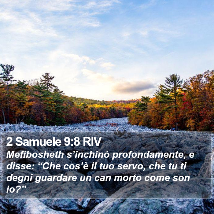2 Samuele 9:8 RIV Bible Study