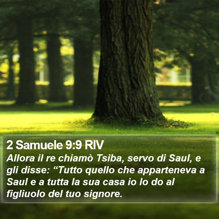 2 Samuele 9:9 RIV Bible Study