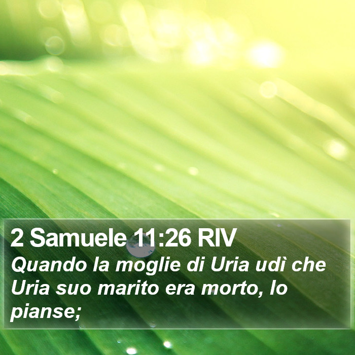 2 Samuele 11:26 RIV Bible Study