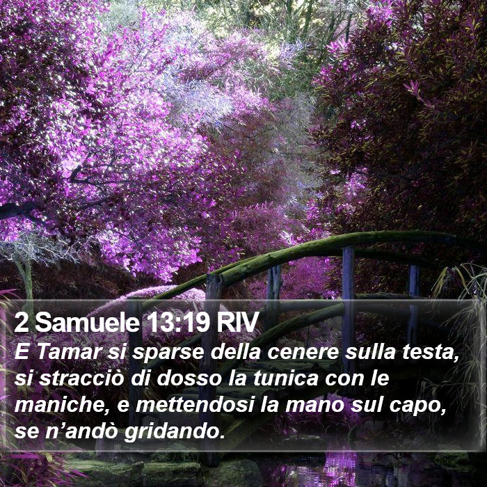 2 Samuele 13:19 RIV Bible Study