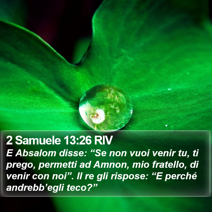 2 Samuele 13:26 RIV Bible Study