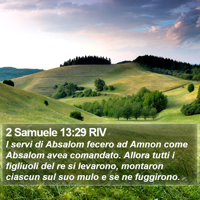 2 Samuele 13:29 RIV Bible Study