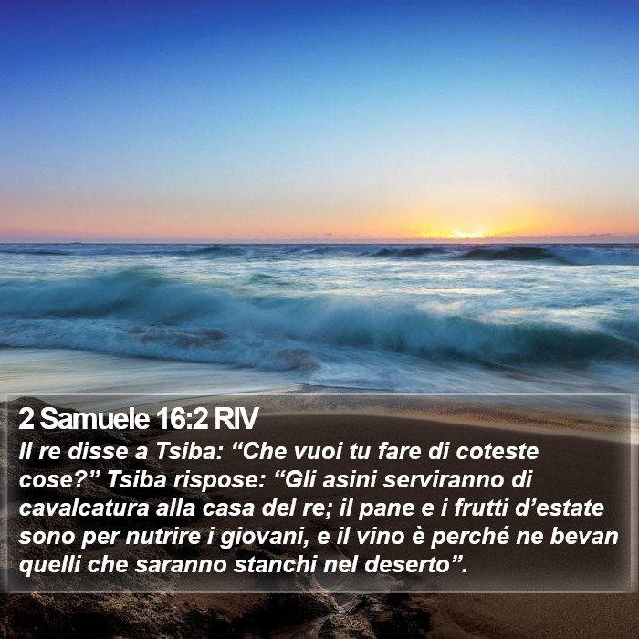 2 Samuele 16:2 RIV Bible Study