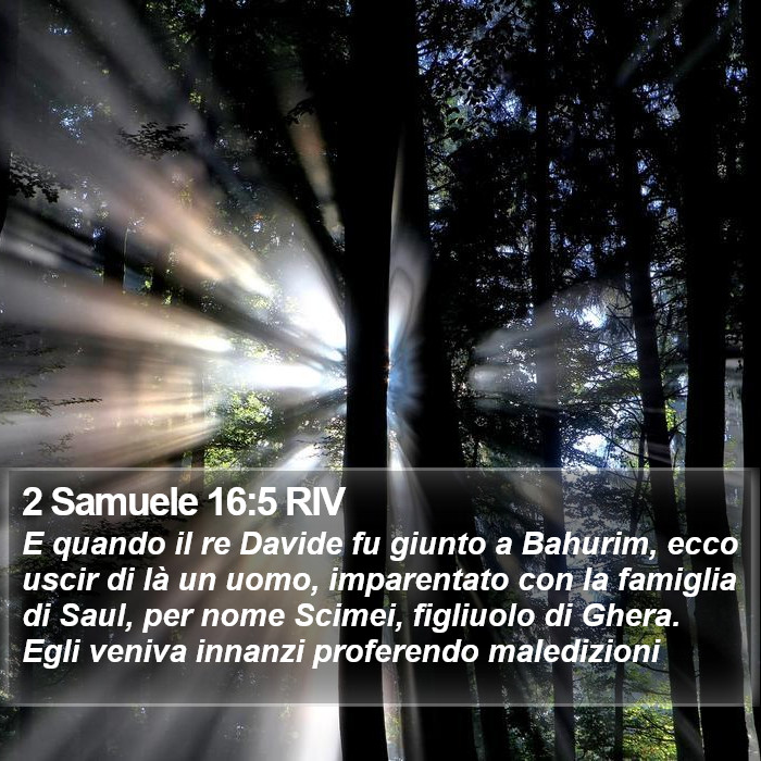 2 Samuele 16:5 RIV Bible Study