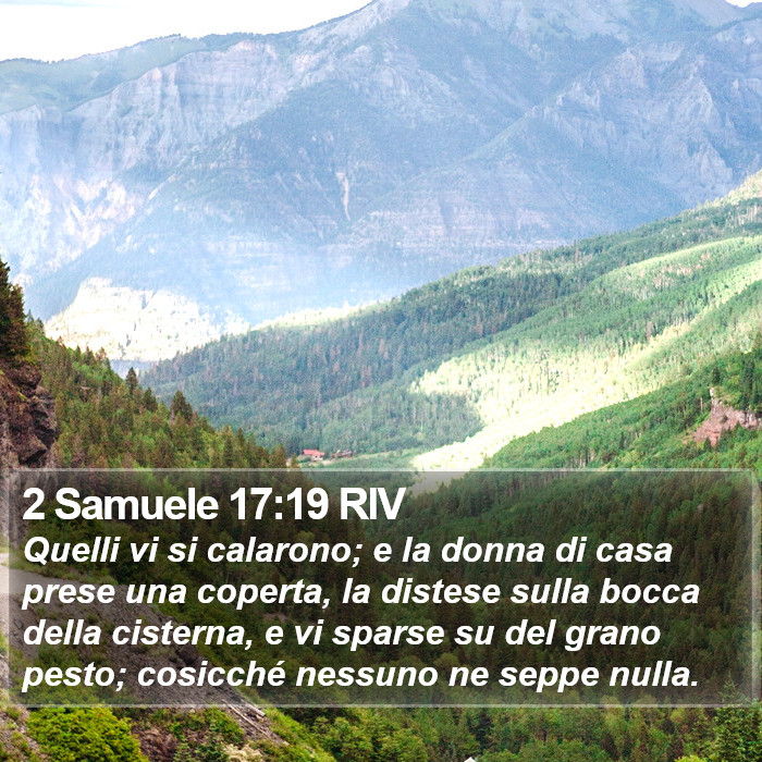 2 Samuele 17:19 RIV Bible Study