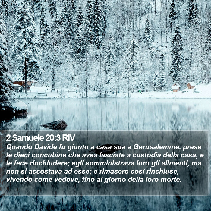 2 Samuele 20:3 RIV Bible Study