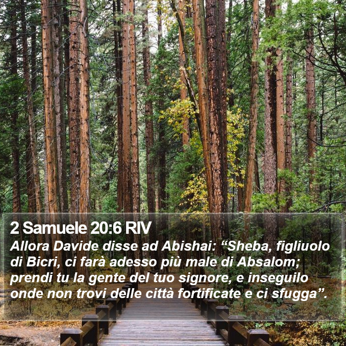 2 Samuele 20:6 RIV Bible Study