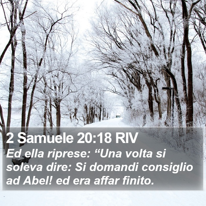 2 Samuele 20:18 RIV Bible Study