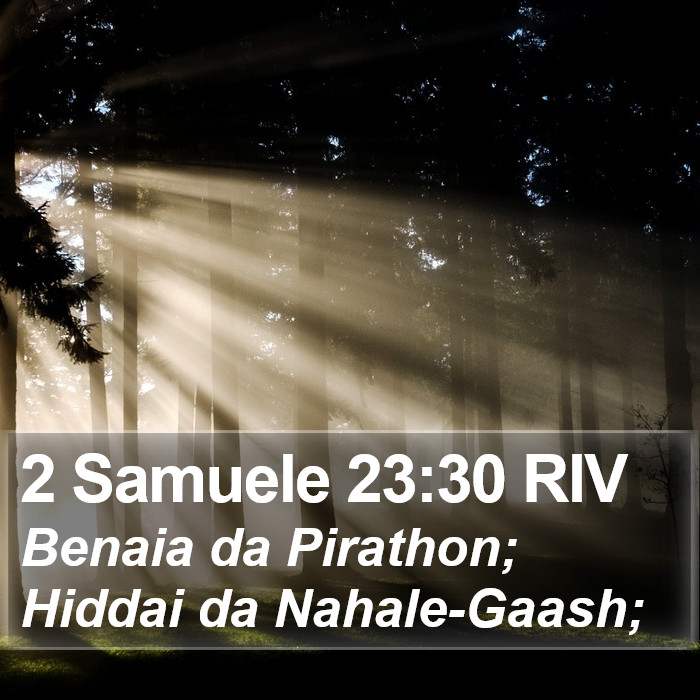 2 Samuele 23:30 RIV Bible Study