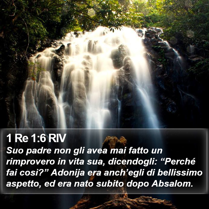 1 Re 1:6 RIV Bible Study