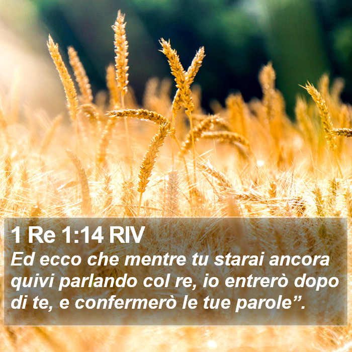 1 Re 1:14 RIV Bible Study