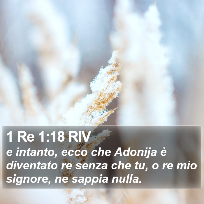 1 Re 1:18 RIV Bible Study