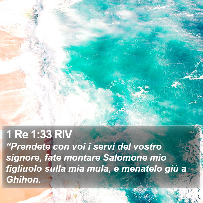 1 Re 1:33 RIV Bible Study