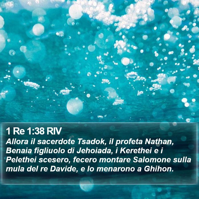 1 Re 1:38 RIV Bible Study