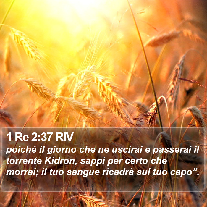 1 Re 2:37 RIV Bible Study