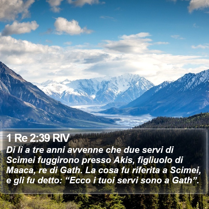 1 Re 2:39 RIV Bible Study