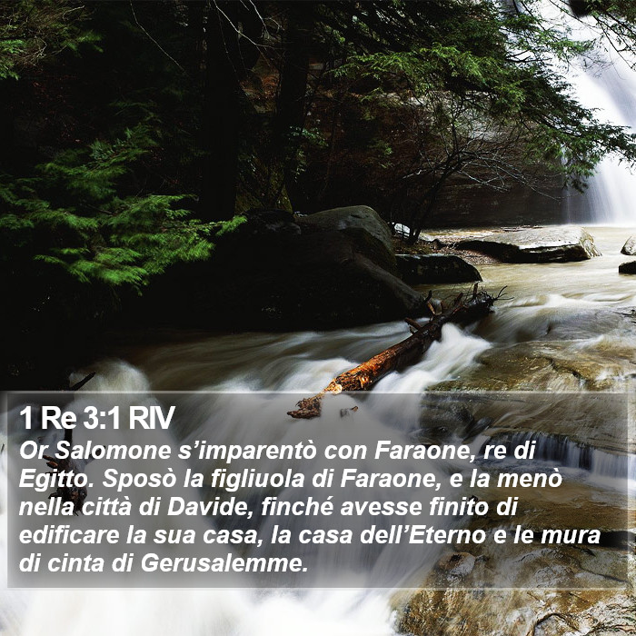 1 Re 3:1 RIV Bible Study