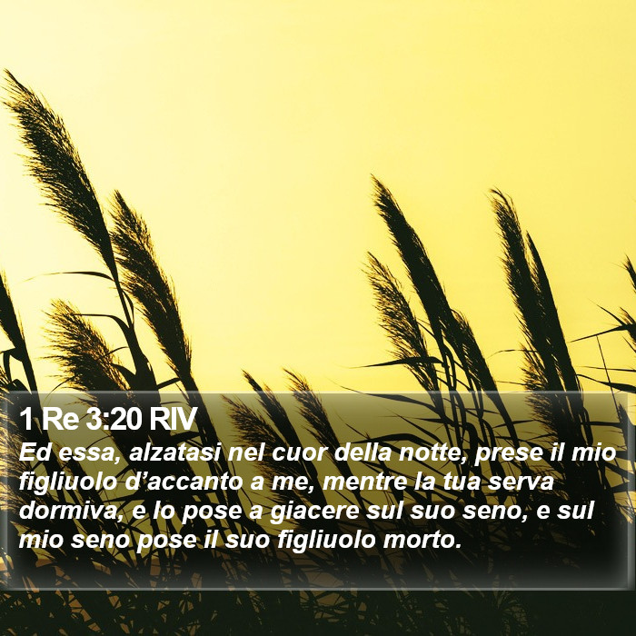 1 Re 3:20 RIV Bible Study