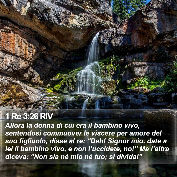 1 Re 3:26 RIV Bible Study