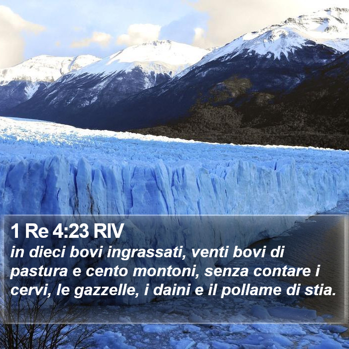 1 Re 4:23 RIV Bible Study